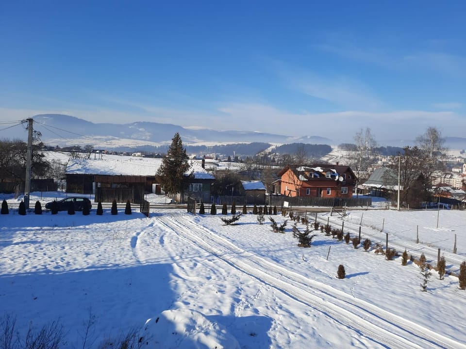 Cabana la Munte Chalet in Romania