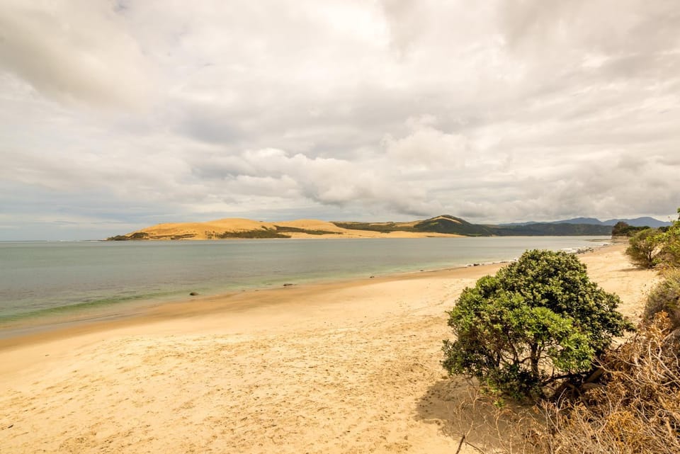 Hokianga Haven Apartment in Northland