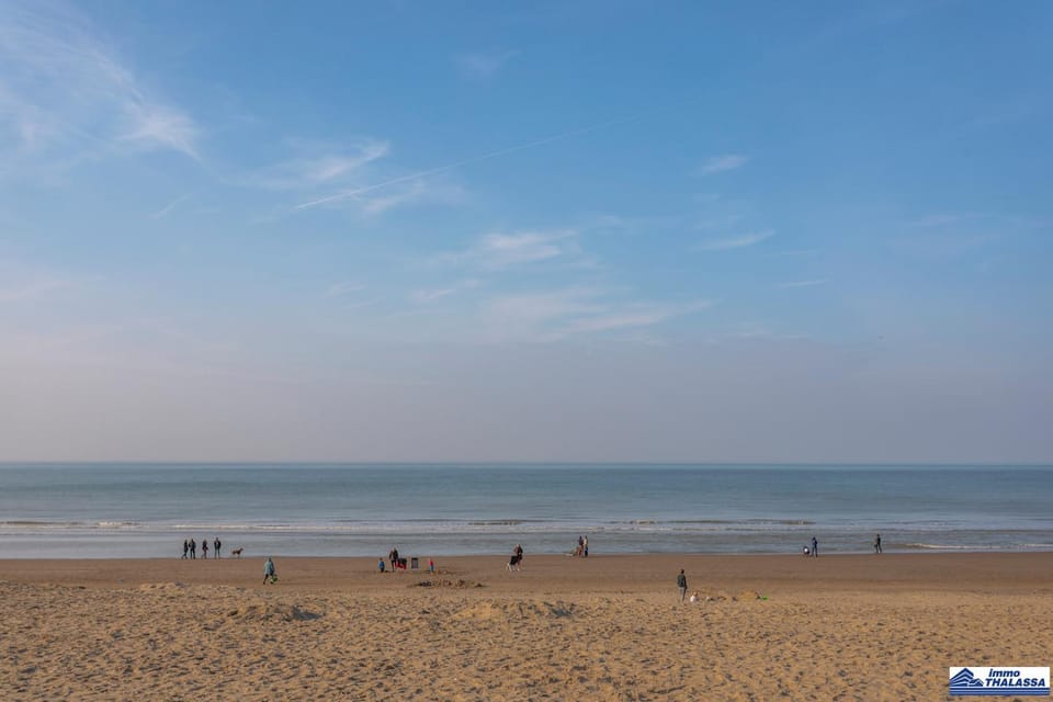 Opale 0001 - 2 bedrooms 5p - ground floor and dogfriendly - sea view Apartment in Koksijde