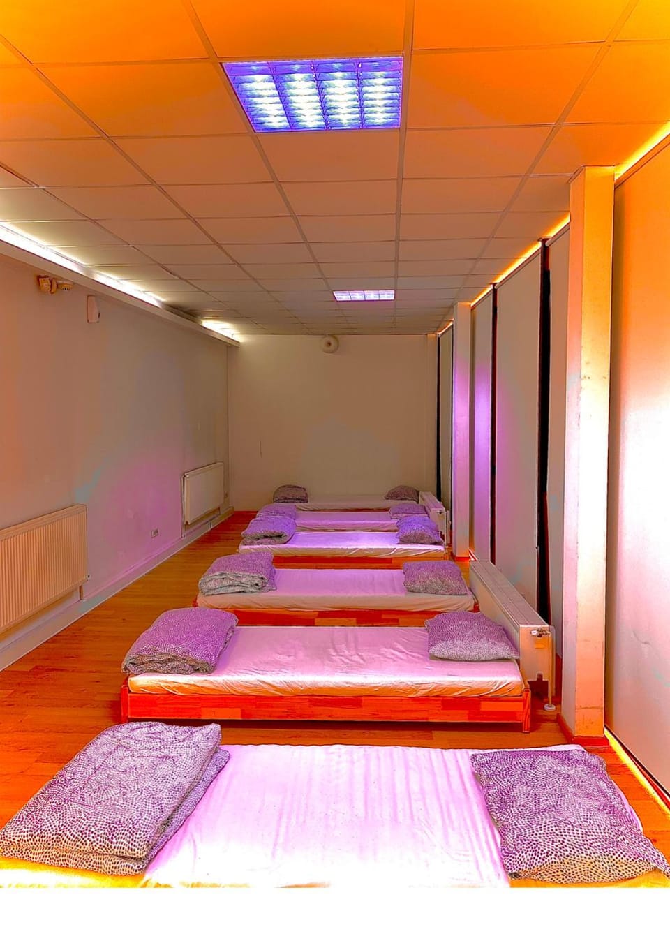 A.G ROMANA HOSTEL Hostel in Bucharest
