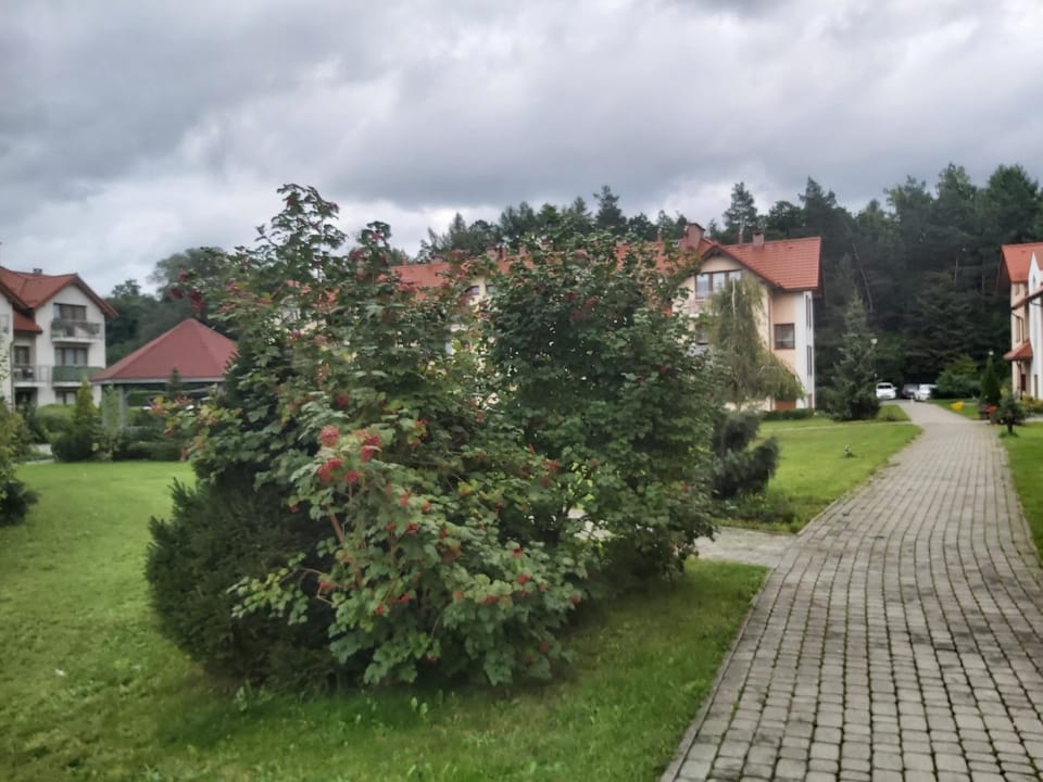 Mieszkanie z ogródkiem w Ustroniu Apartment in Czechia
