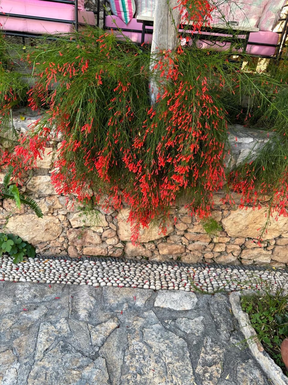 Courtyard Kalkan Hotel in Kalkan Belediyesi