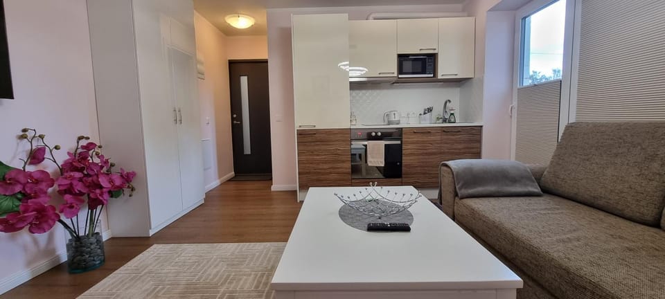 TV and multimedia, Kitchen or kitchenette, Living room, Seating area