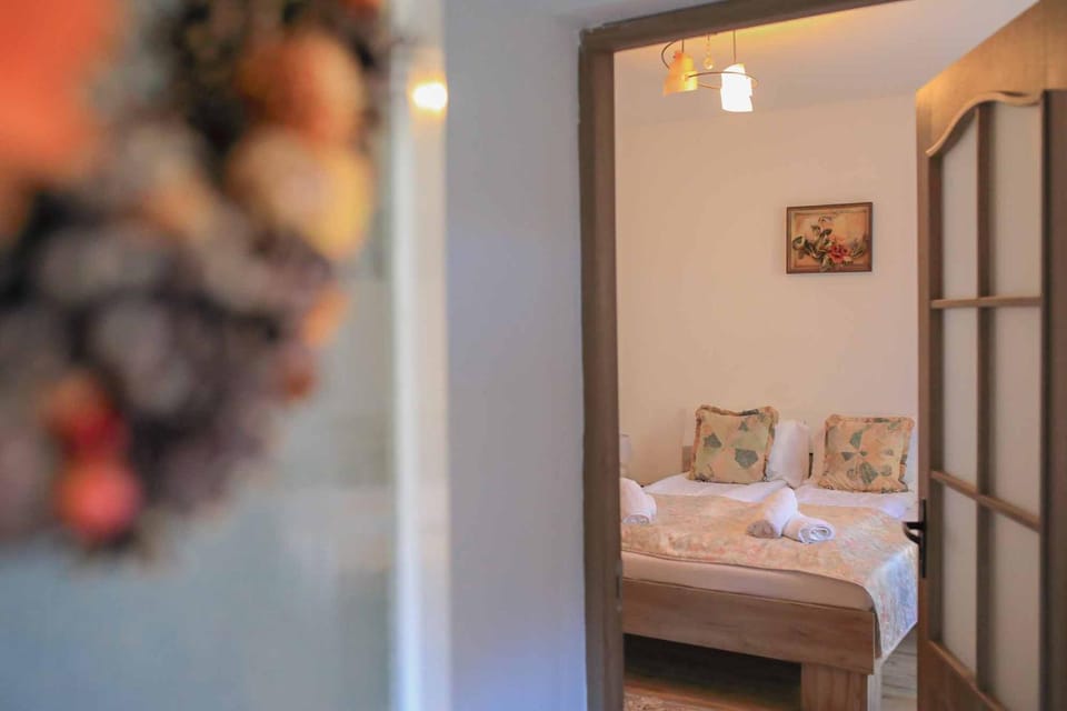Guest House Liviu Rebreanu Apartment in Sibiu