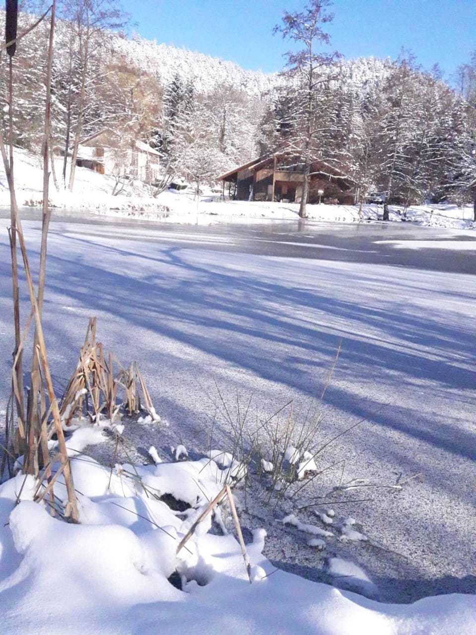 Le Kota Montagne Chalet in Vosges