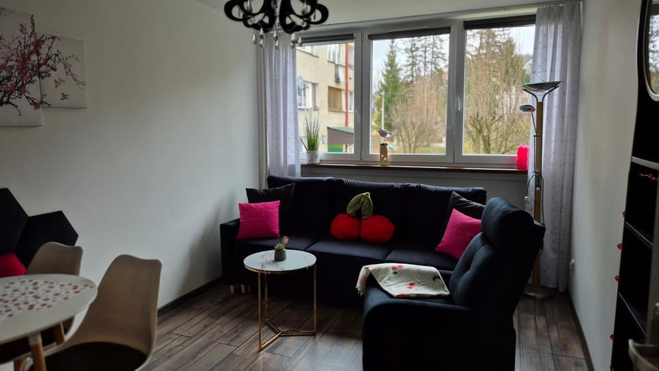 Wisienka Apartment in Lower Silesian Voivodeship