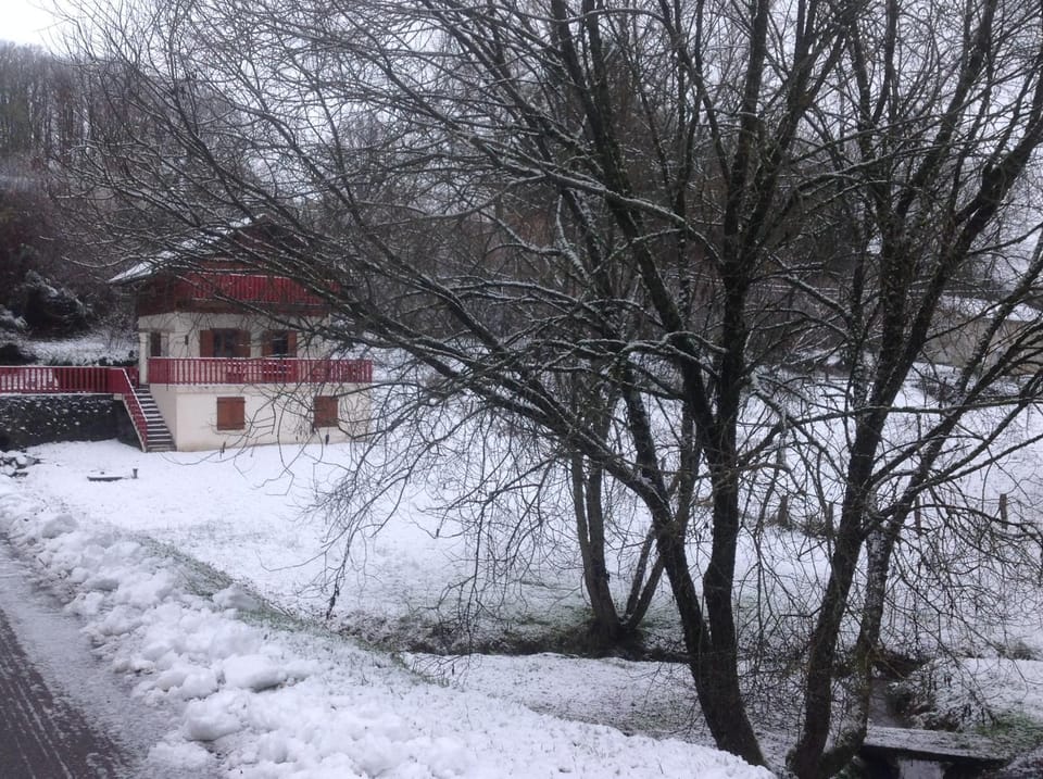 Winter