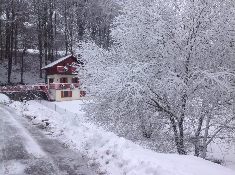 Natural landscape, Winter