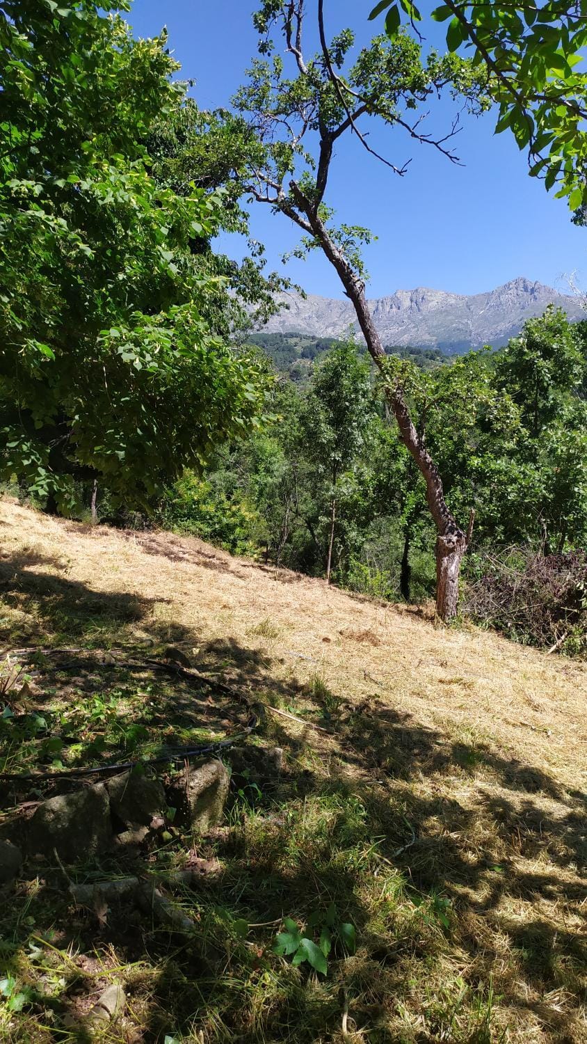 Mountain view
