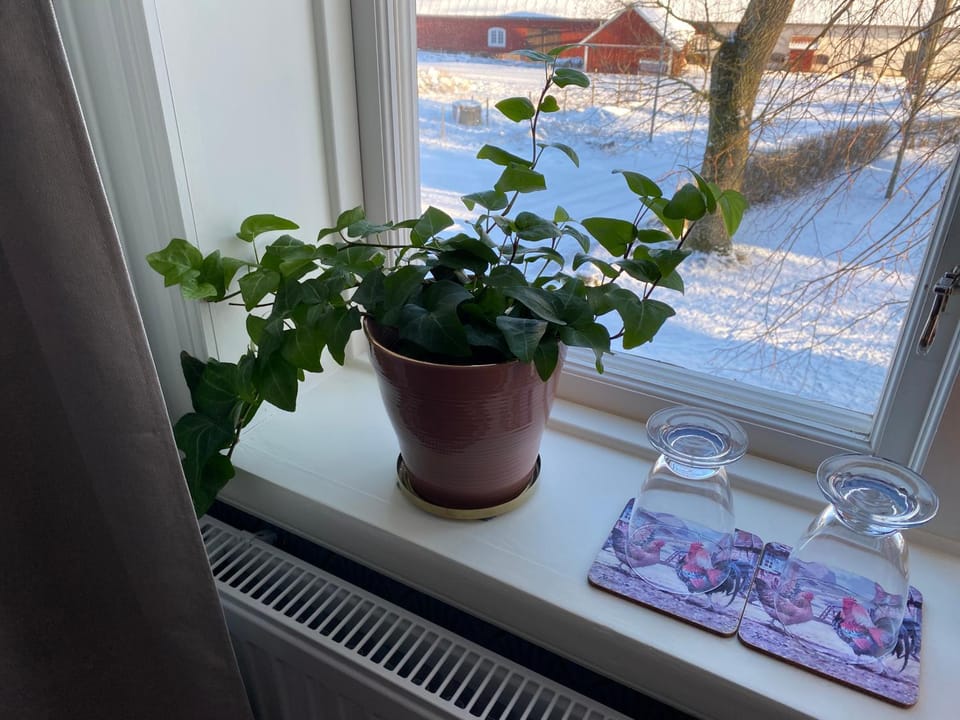 Bjälbo Gästhus B&B Bed and Breakfast in Sweden