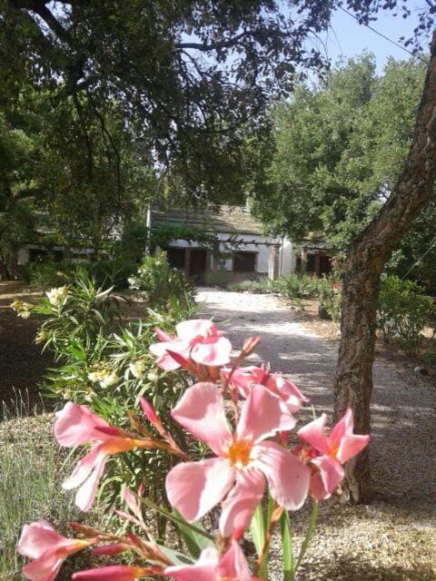 Camping Genal Campground/ 
RV Resort in Costa del Sol