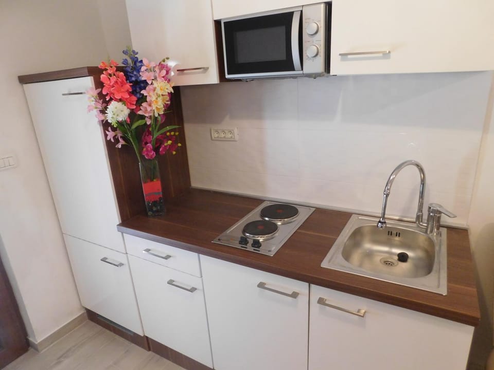 Apartments Asterix Apartment in Pula