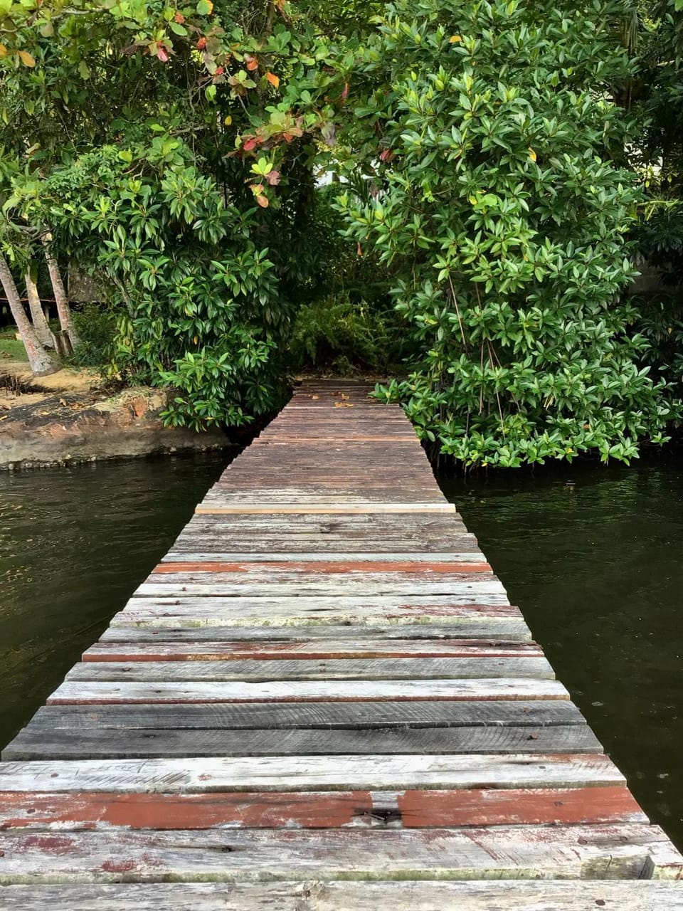 Lake view