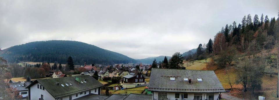 View (from property/room), Mountain view