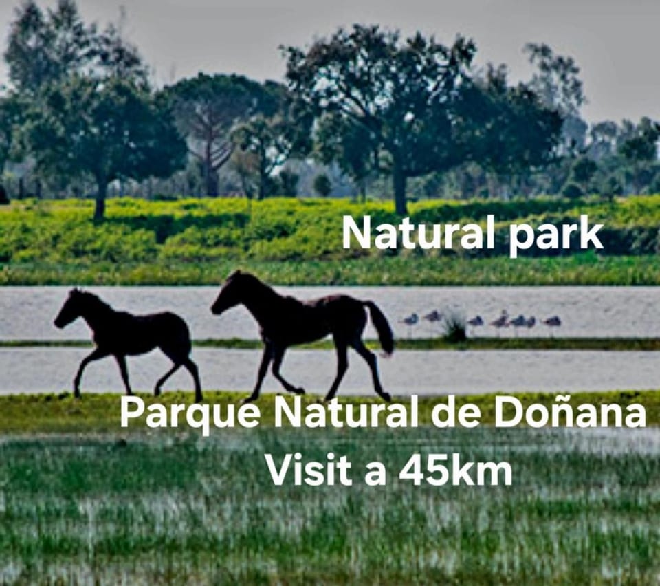 Villa Mirador del Sol, 45min playas de Doñana, 35min de Sevilla, Bodegas de Vinos House in Andalusia