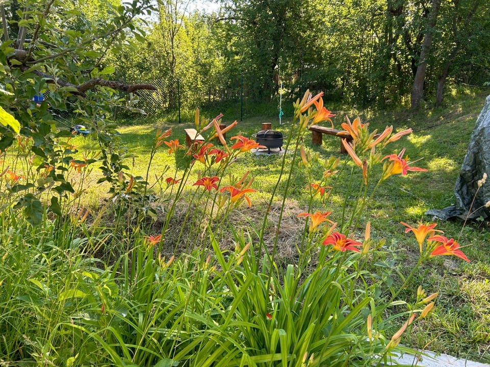 Garden view, fireplace