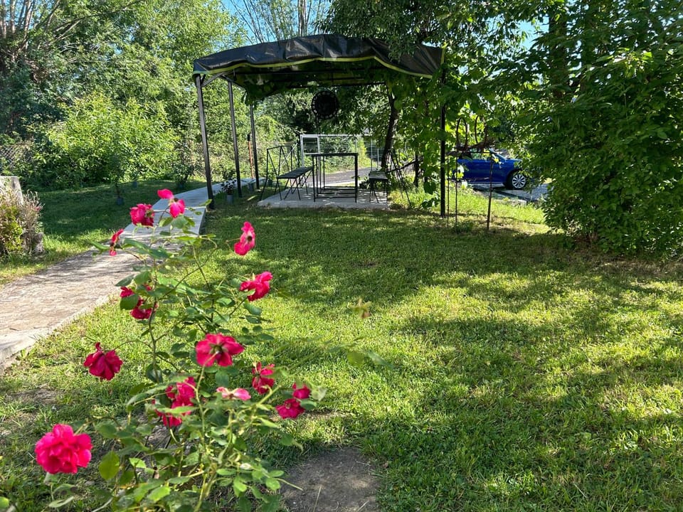 Garden, Dinner