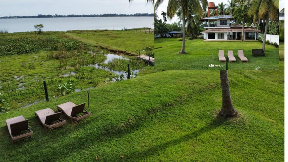 Lake view