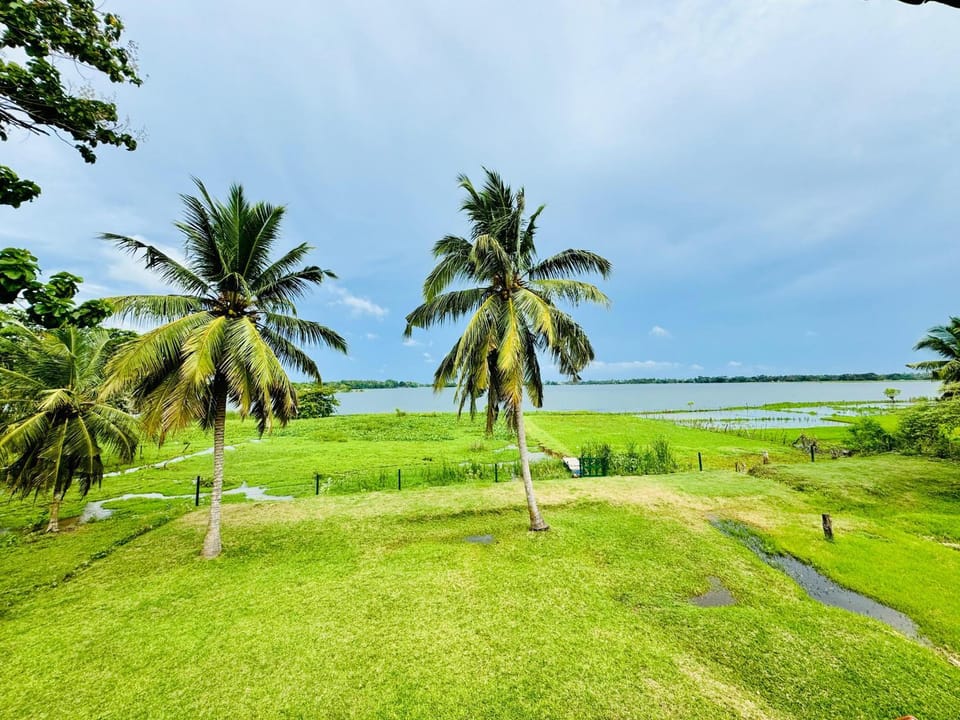 Lake view