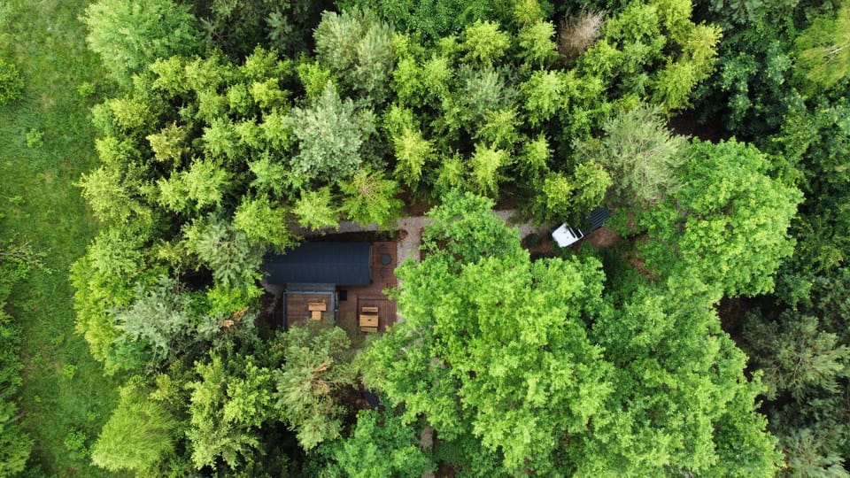 Property building, Spring, Day, Bird's eye view, Garden