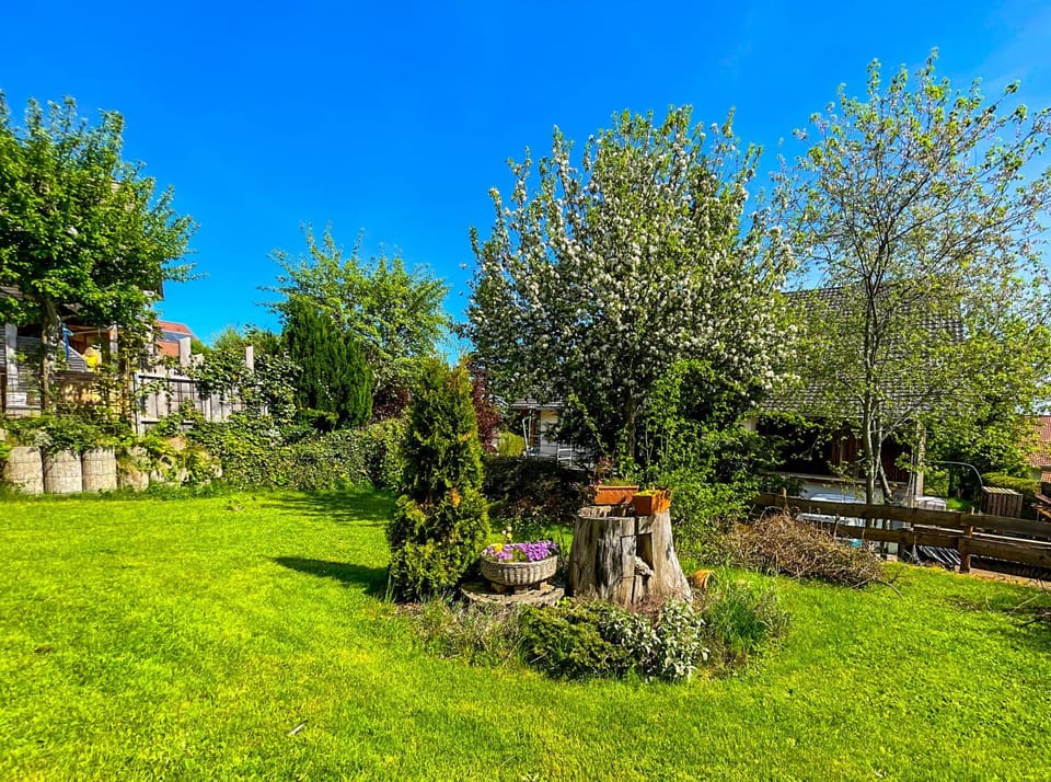 Garden, Garden view