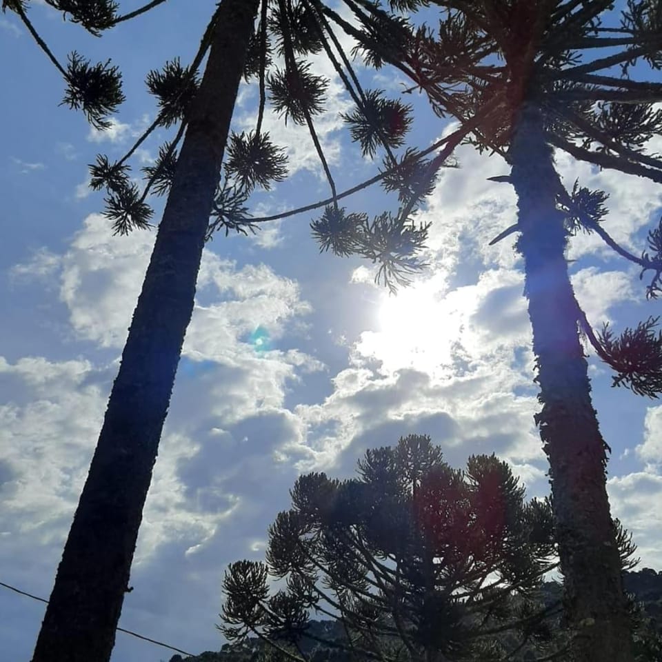 Day, Natural landscape