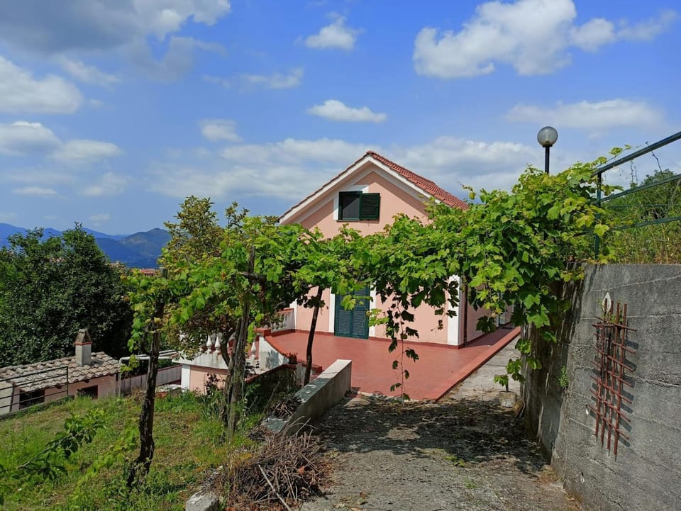 Property building, Day, Natural landscape, Garden, Garden view, Mountain view, pet friendly