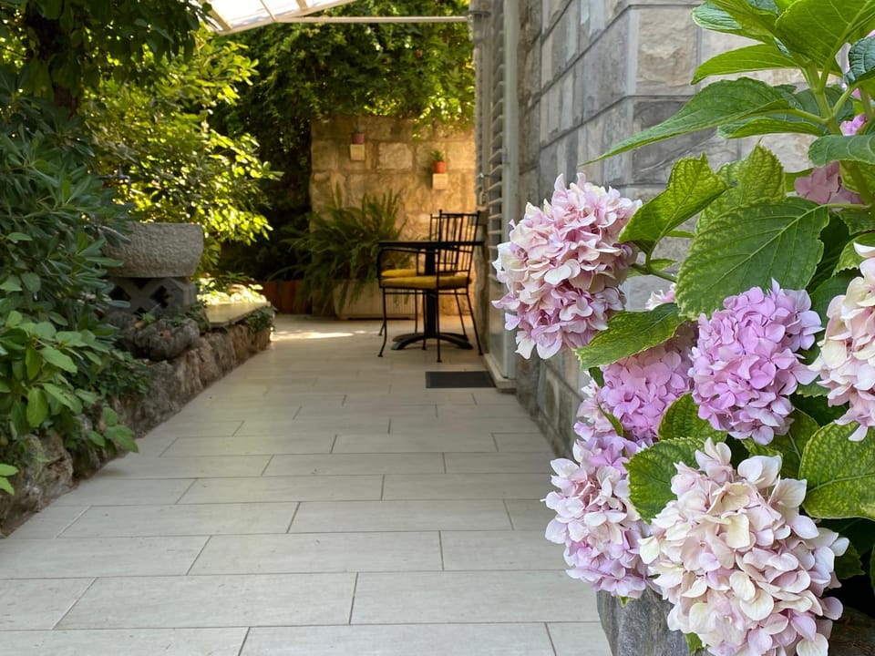 Patio, Spring, Day, Garden, Garden view