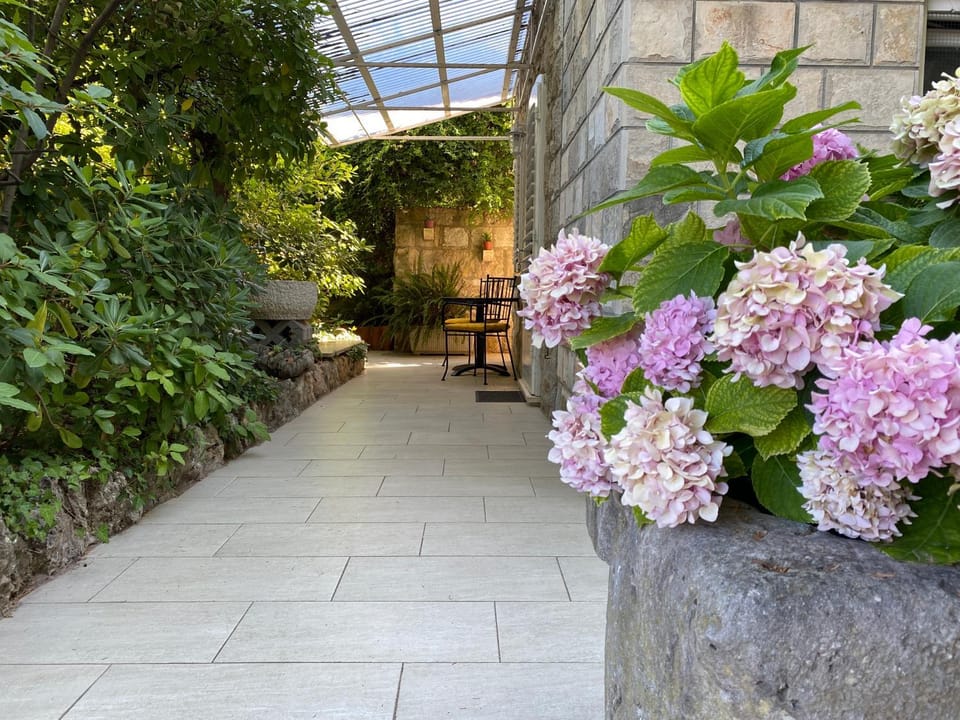 Spring, Day, Garden, Garden view