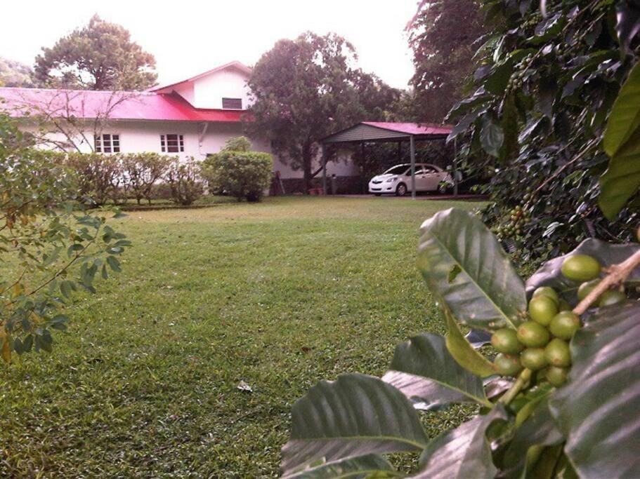Property building, Parking