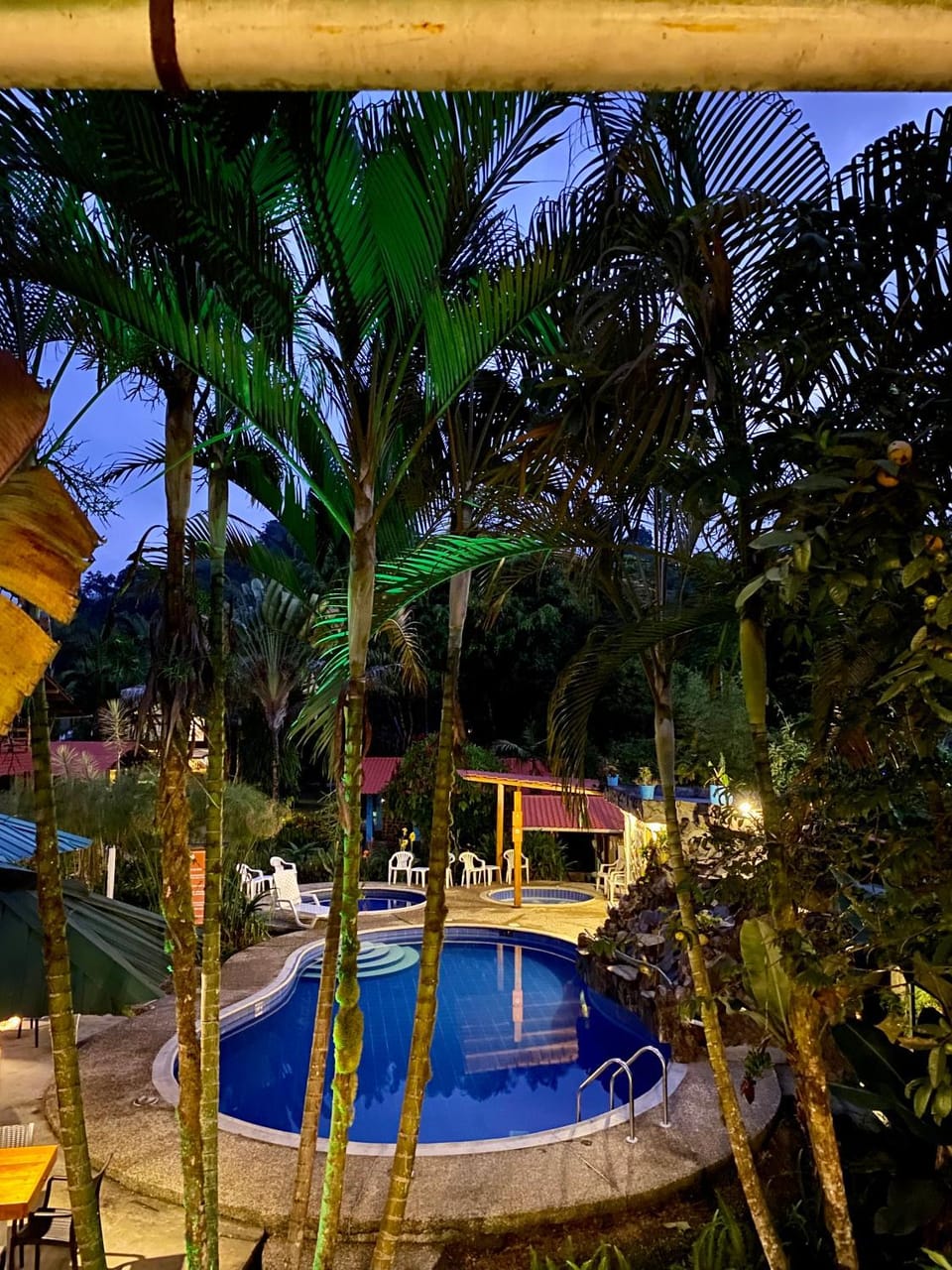 Night, Natural landscape, Garden, Garden view, Pool view, Swimming pool, Swimming pool