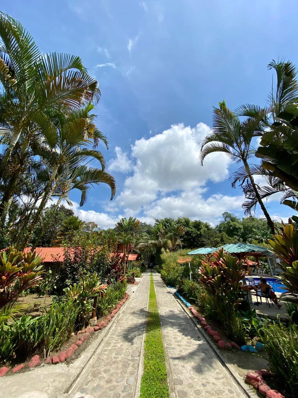 Day, Natural landscape, Garden, Garden view