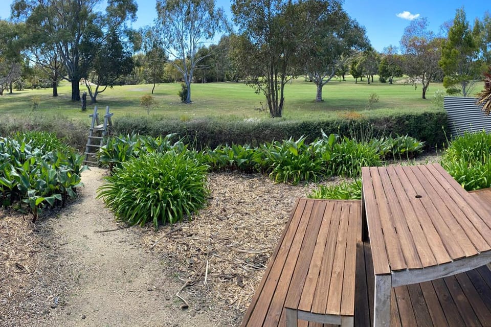 Patio, Garden