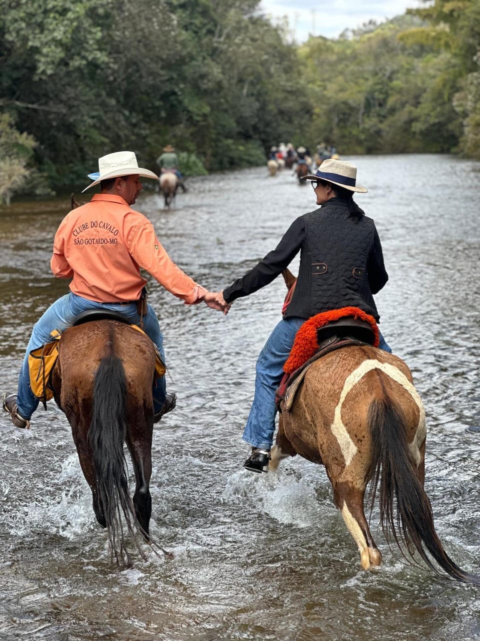 Pousada Chalés do Rancho Canastra Inn in State of São Paulo