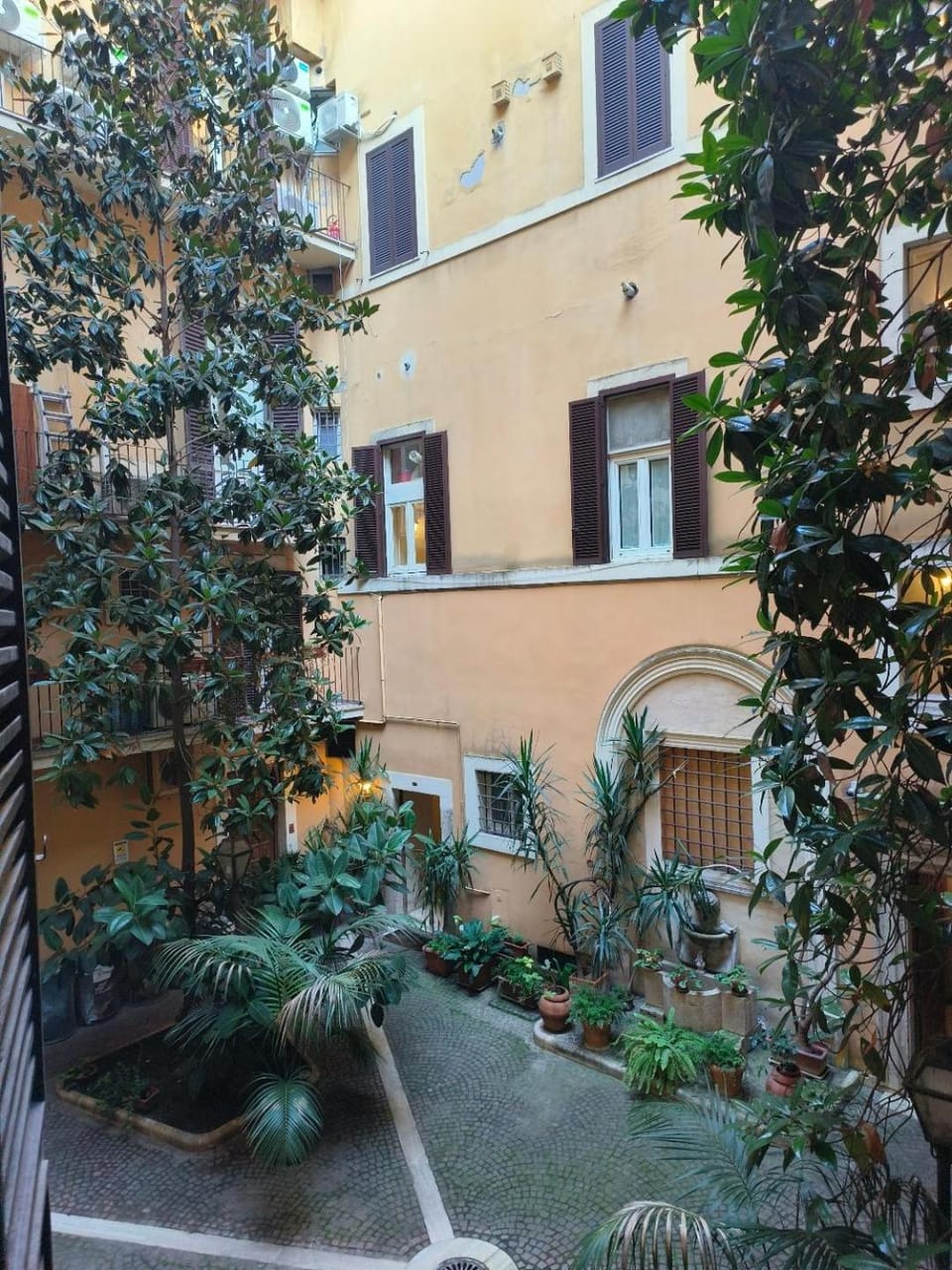Garden view