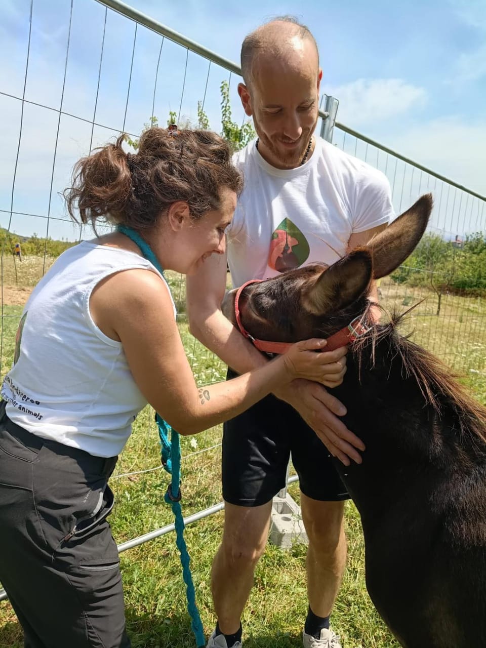 B&B Naturin - Vegan Eco Farm Farm Stay in Piedmont