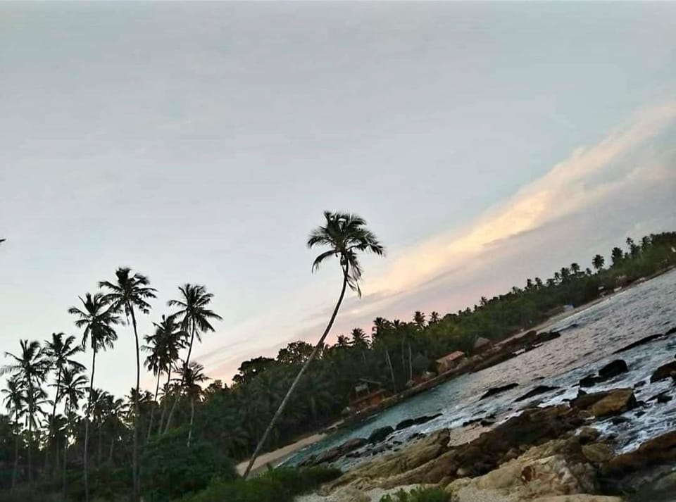 Natural landscape, Sunset
