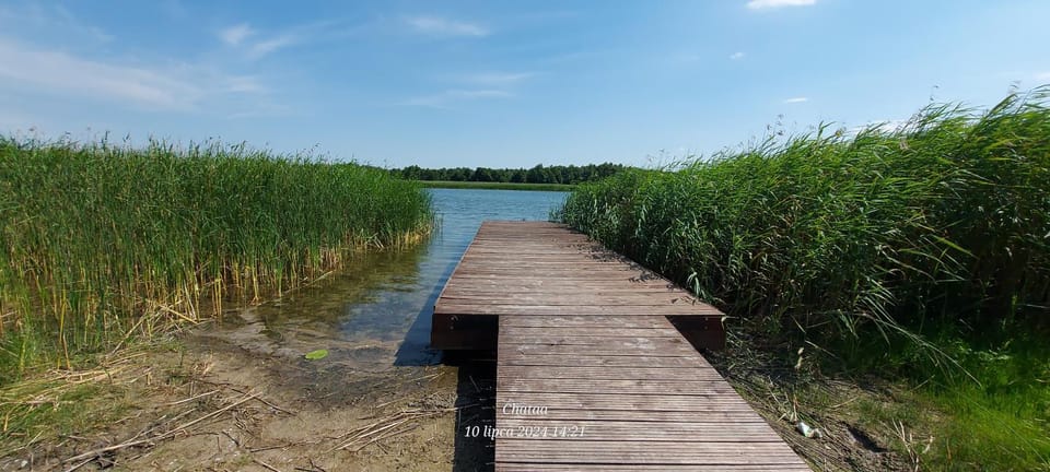 Lake view