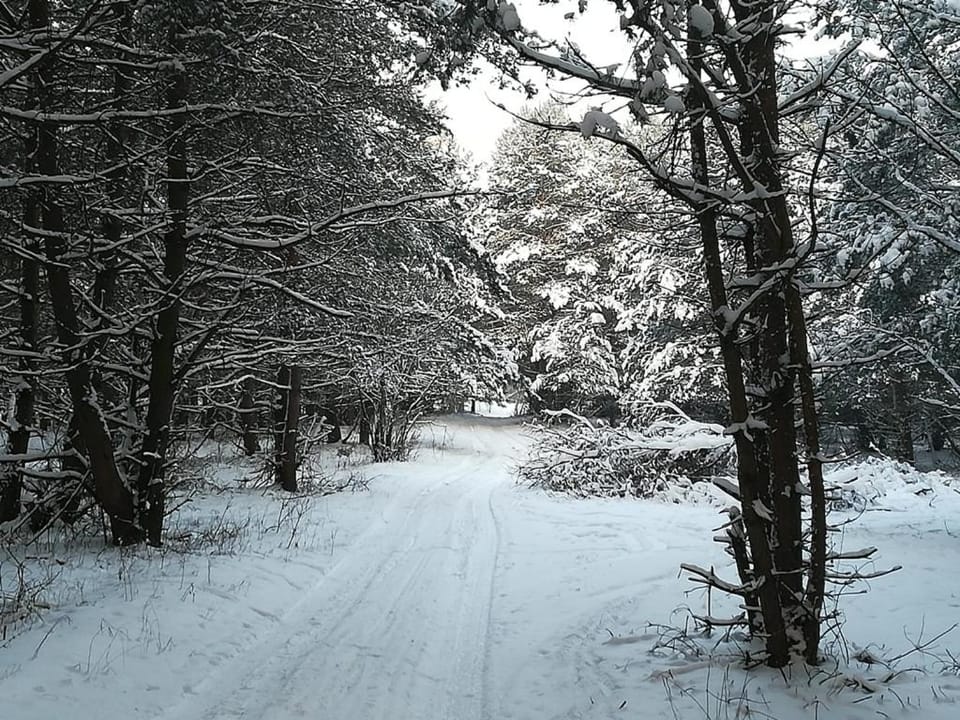 Natural landscape, Winter, Hiking