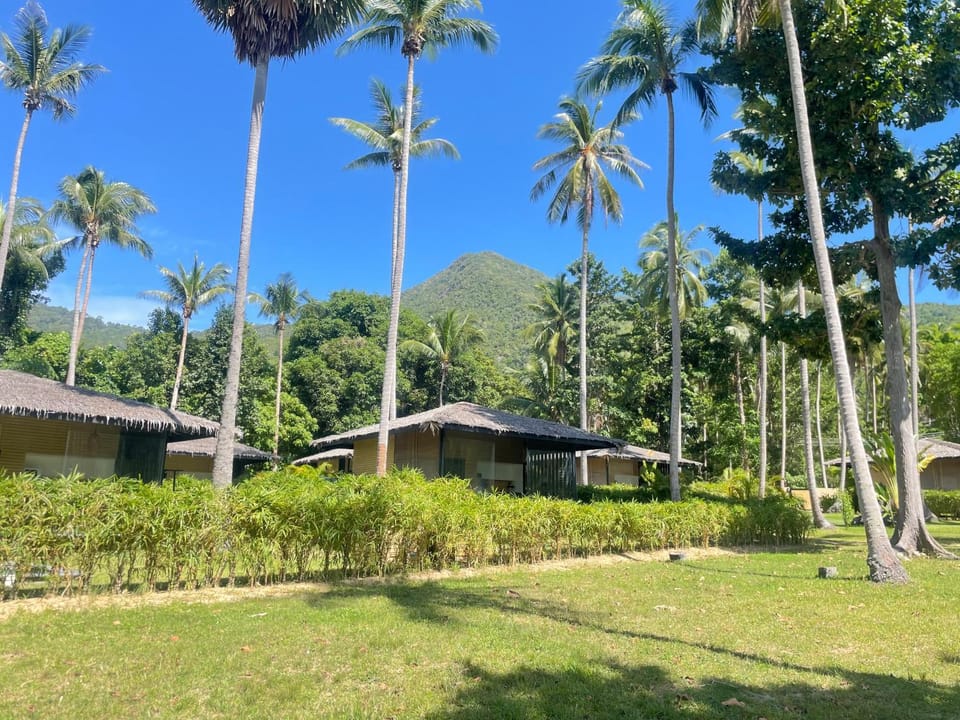 Property building, Garden, Mountain view