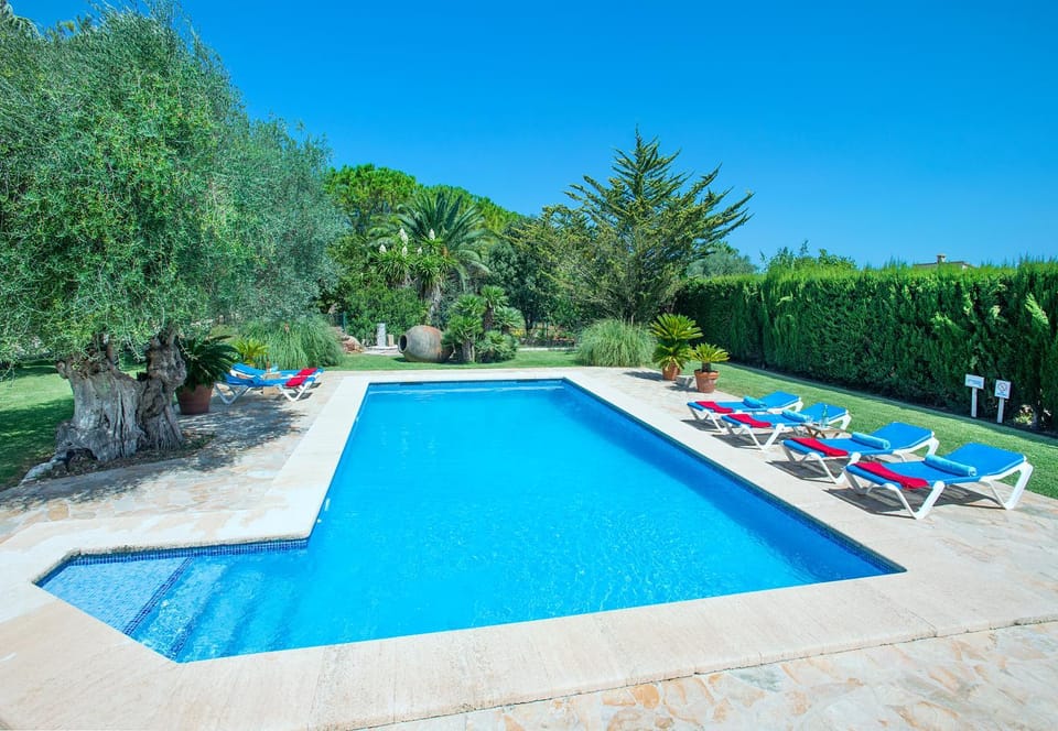 Garden, Swimming pool, sunbed