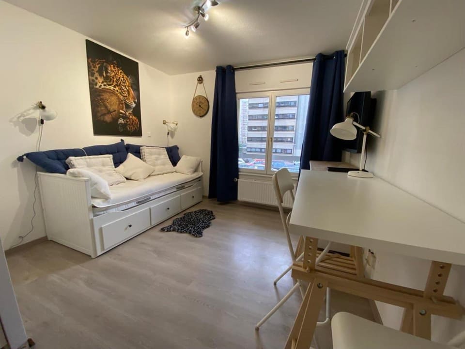 Appartement Esplanade Apartment in Strasbourg