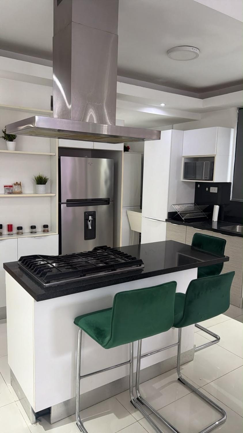 Renovated AMG Suites Apartment Apartment in Distrito Nacional