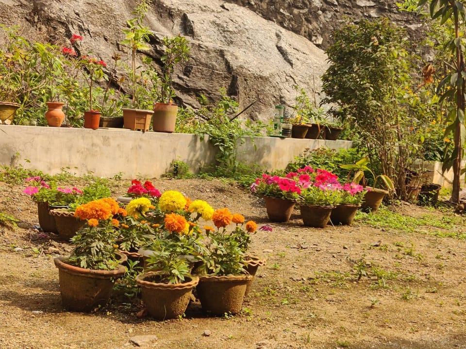 Garden, Garden