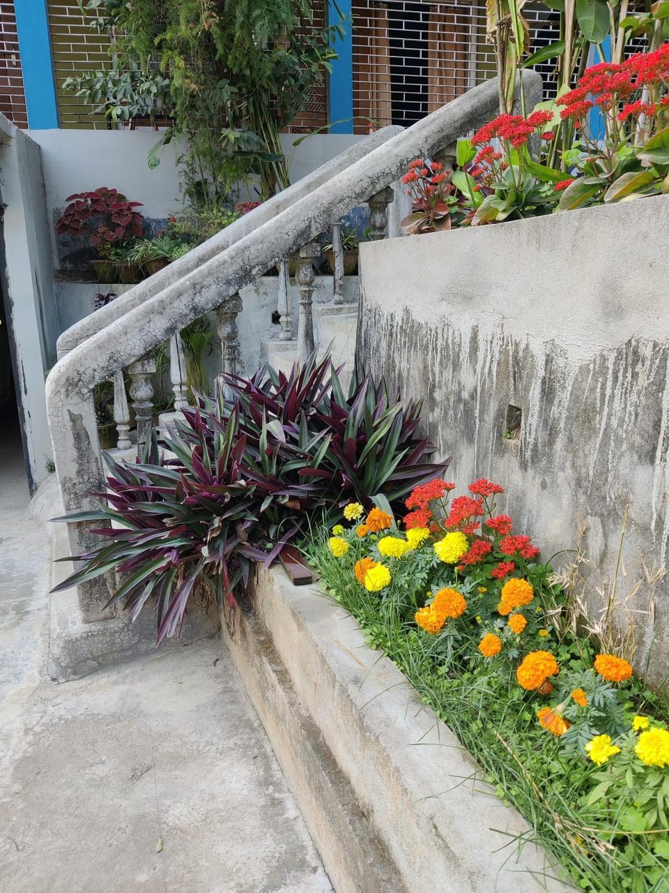 Garden, Garden view