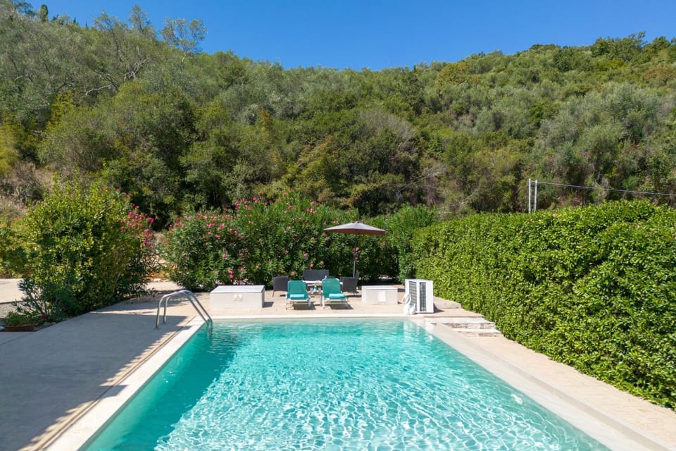 Patio, Day, Summer, Swimming pool