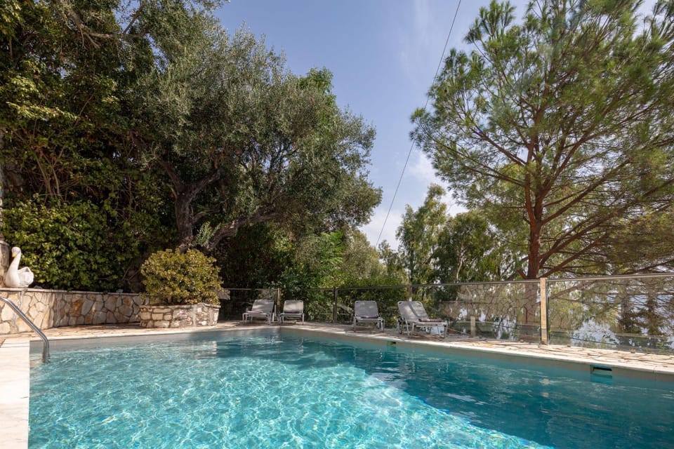 Summer, Pool view, Swimming pool, sunbed
