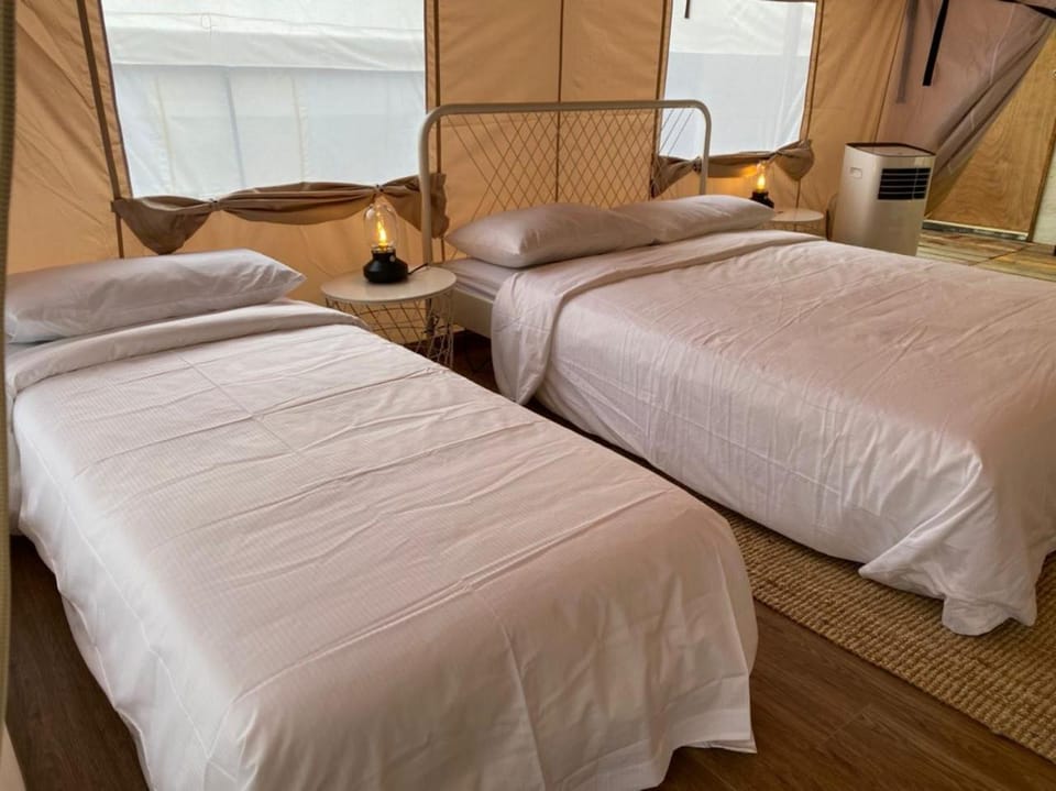 Bed