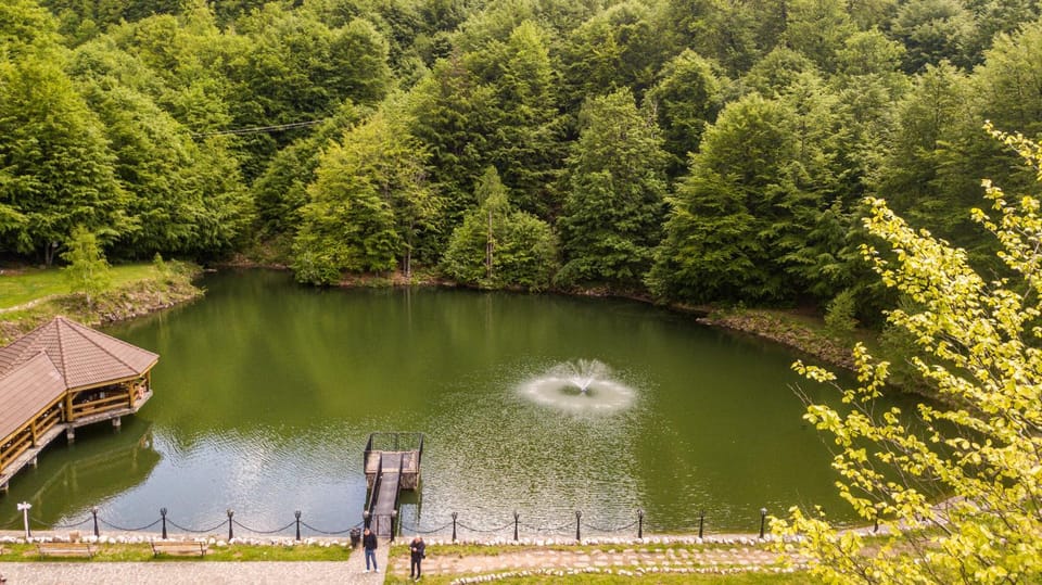 Bird's eye view, Summer, Lake view
