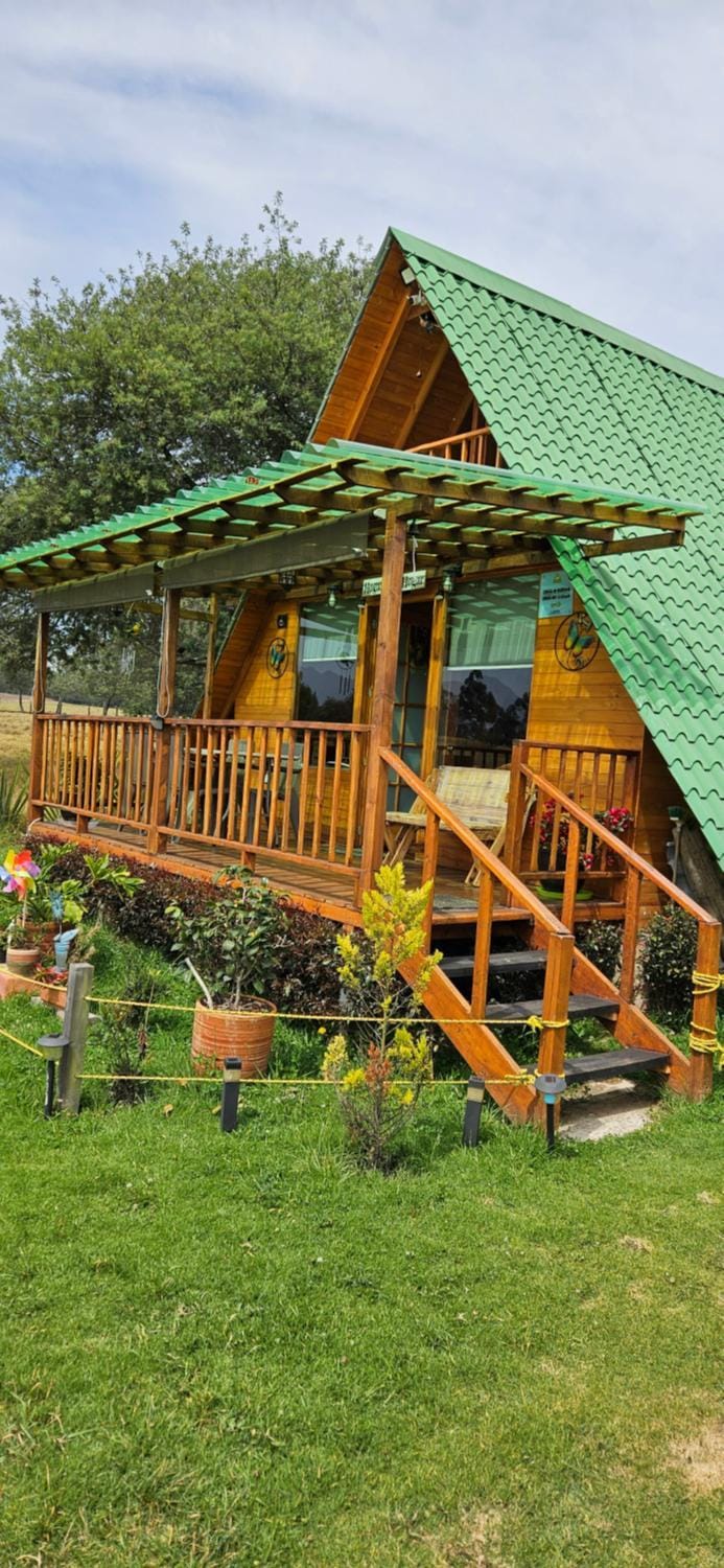 Property building, Garden, Garden view